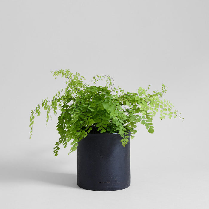 Modern Planter in Charcoal - Bloomist