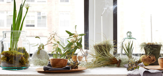 ALL IS SIMPLE, ALL IS NATURAL