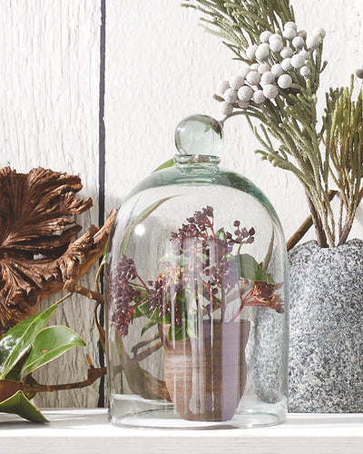 SECRETS TO A NATURAL SHELFIE