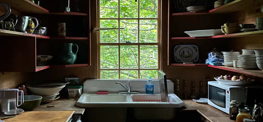 FOOD STYLIST, RECIPE INVENTOR, AND ACUPUNCTURIST, FRANCES BOSWELL