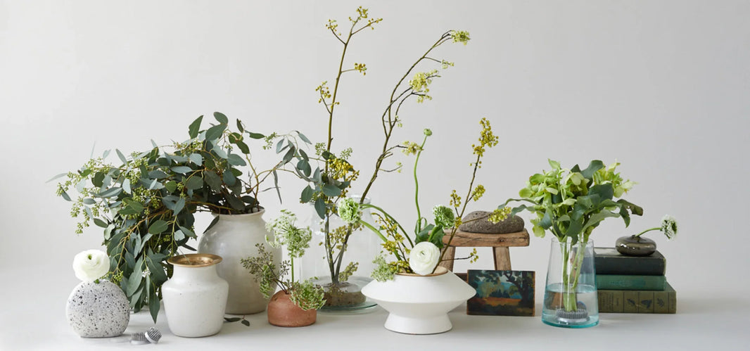 Learn About A Whole Different Species Of Frog