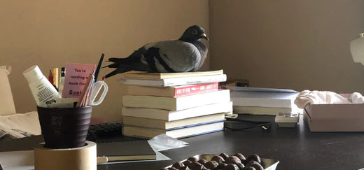 Get To Know Hannah Kirshner, Stylist, Food Writer, And Author Of Water, Wood & Wild Things