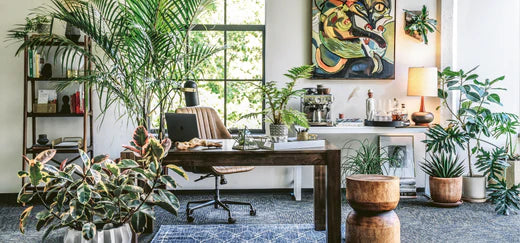 Get To Know Hilton Carter, Gardening Guru And Author Of Wild Creations