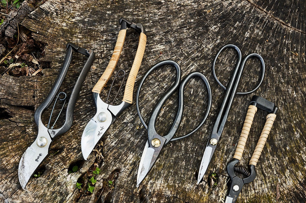 The 3 Best Pruning Shears of 2026, Tested & Reviewed
