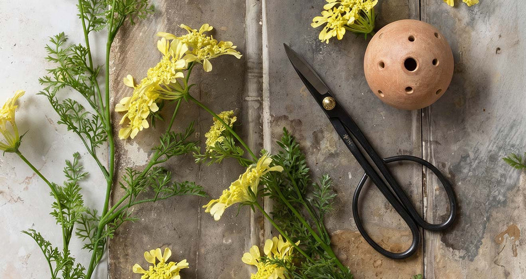 Top Gifts for Flower Lovers 2026