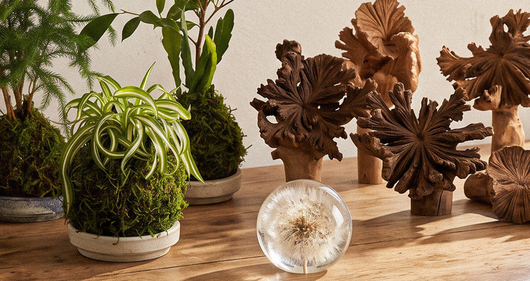 Top Gifts for the Naturalist 2026