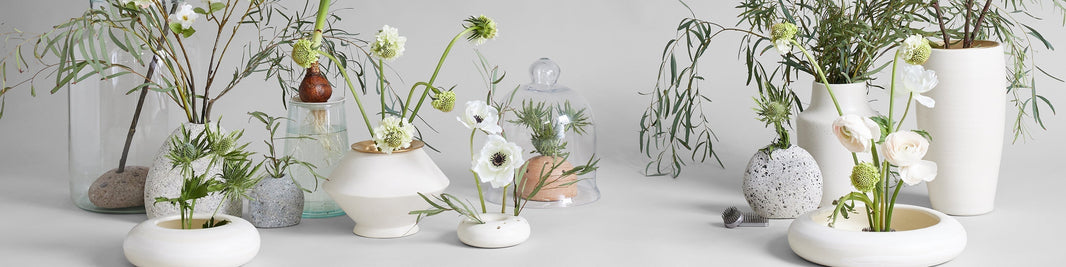 Top Gifts for the Naturalist 2025