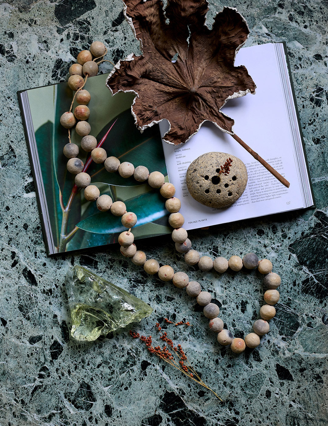 Stone flower frog styled on books with natural objects and dried leaves