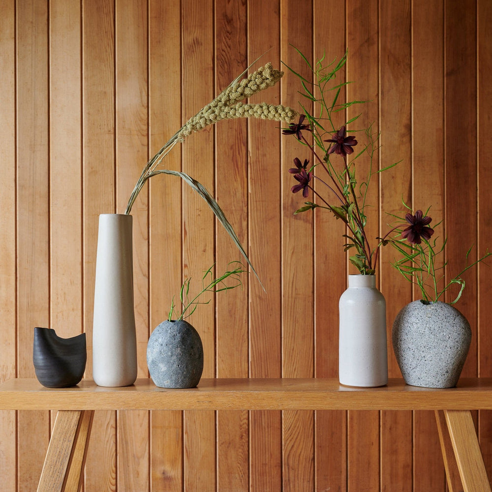 Dried Spray Millet - Bloomist