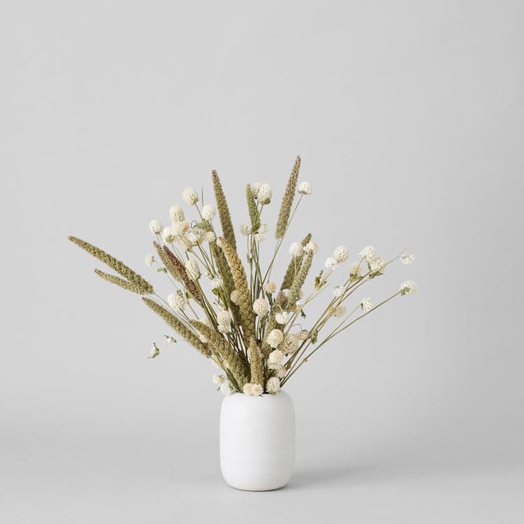 Dried Spray Millet - Bloomist