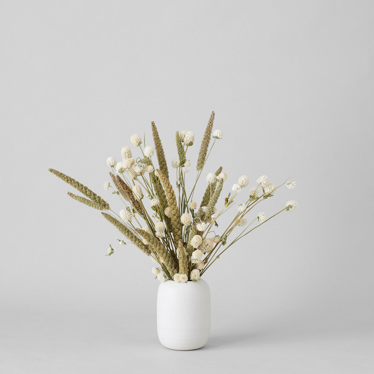 Cream Globe Amaranthus - Bloomist