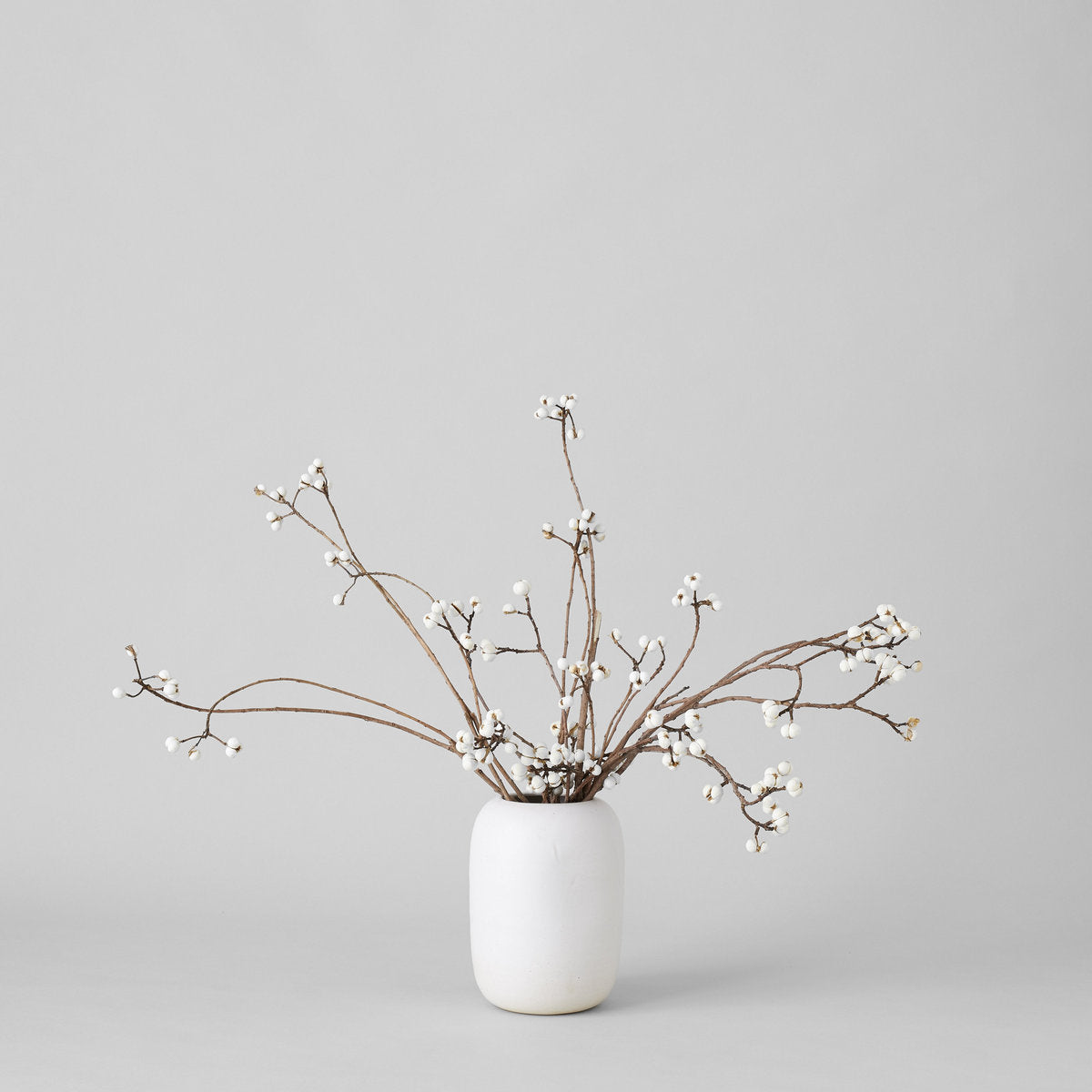 Tallow Berries - Bloomist