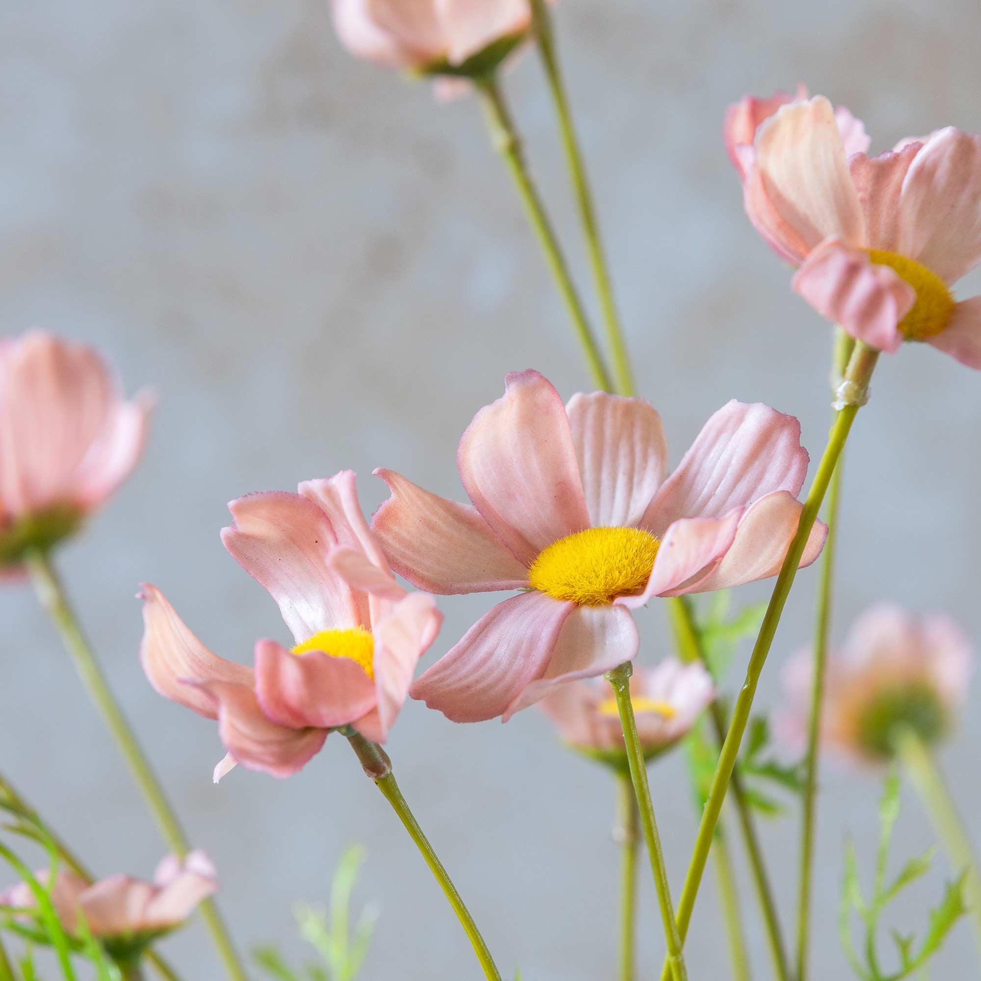 Faux cosmos flowers arranged loosely for a natural look