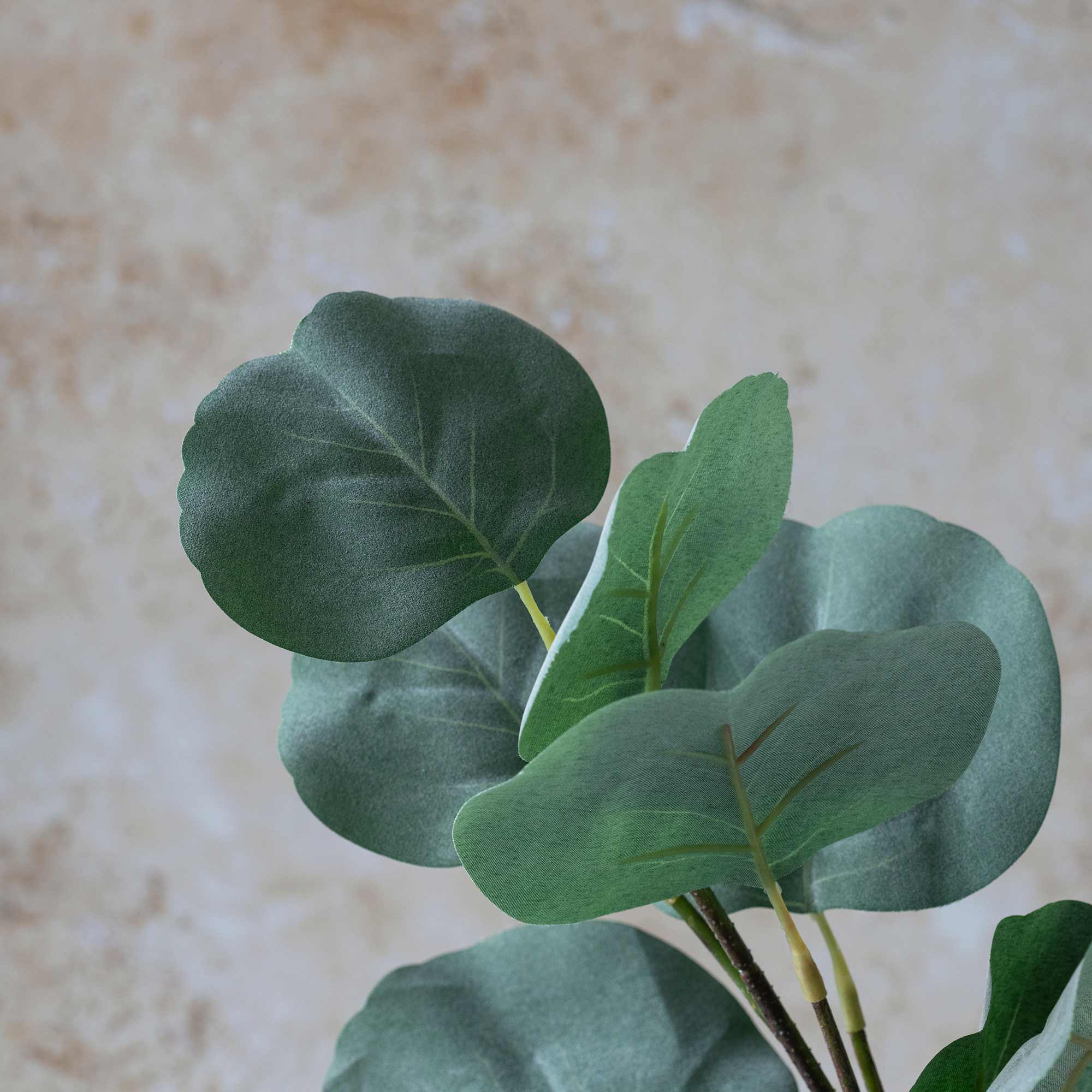 Faux eucalyptus silver dollar foliage with branching leaf clusters