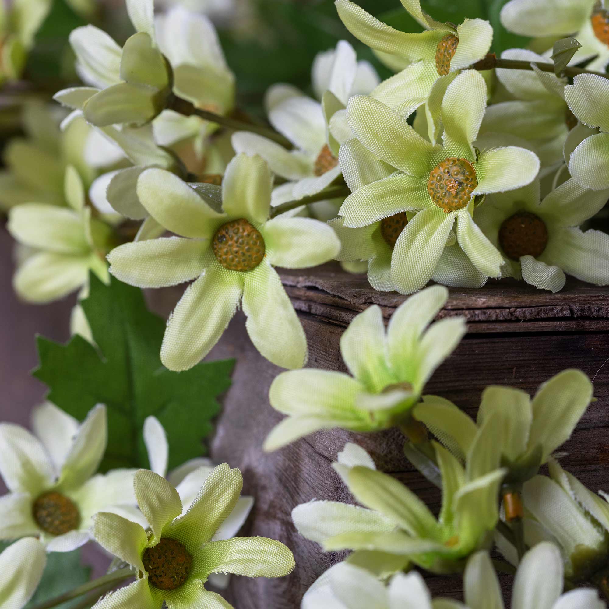 Faux daisy flowers showing clustered blooms and fine detail