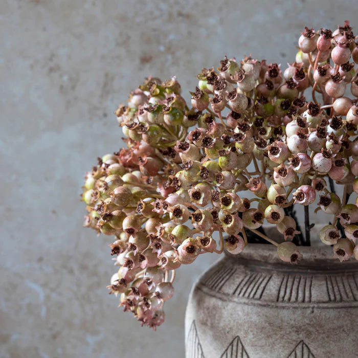 realistic blush rose hip
