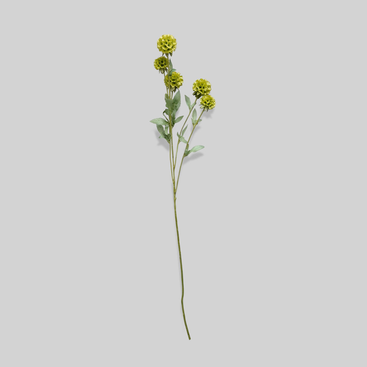 Faux starflower scabiosa stem with pale green star-shaped blooms