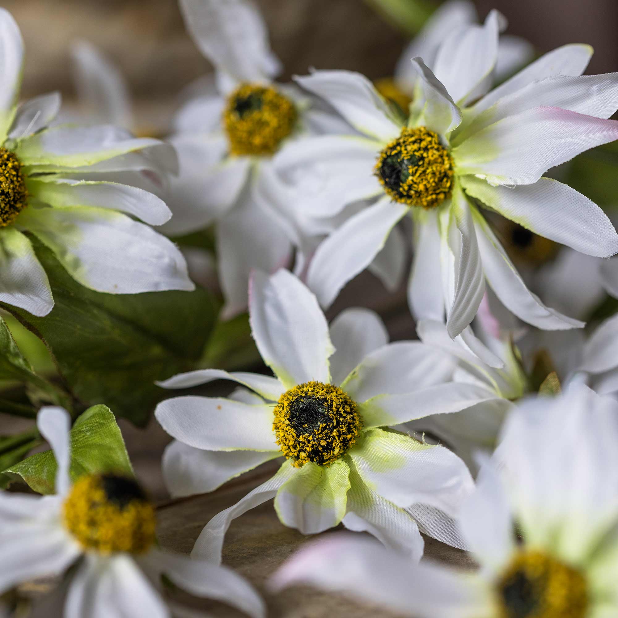 Detailed view of faux cosmos petals and yellow centers