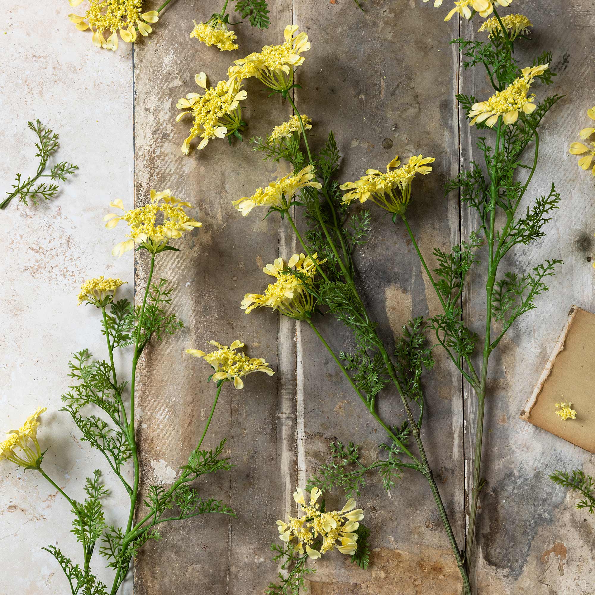 Faux wild dill stem with feathery leaves