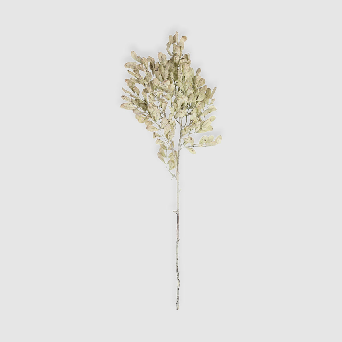 Artificial Eucalyptus Cream Stem

