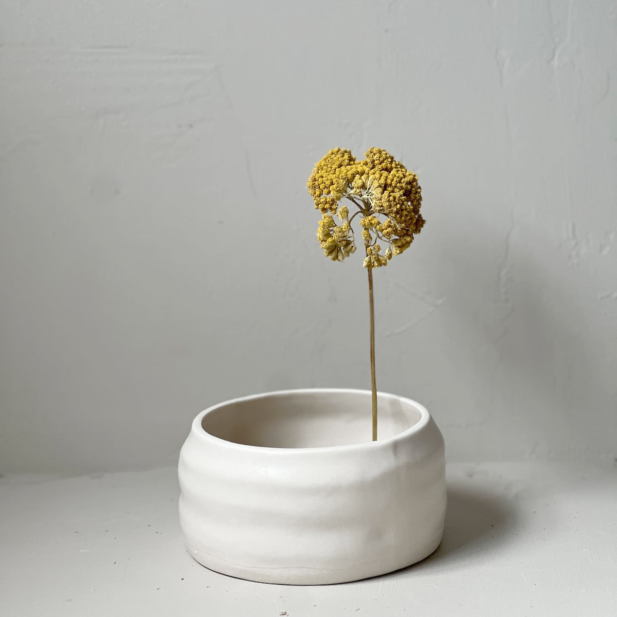 Bare Vessels, Snowflake