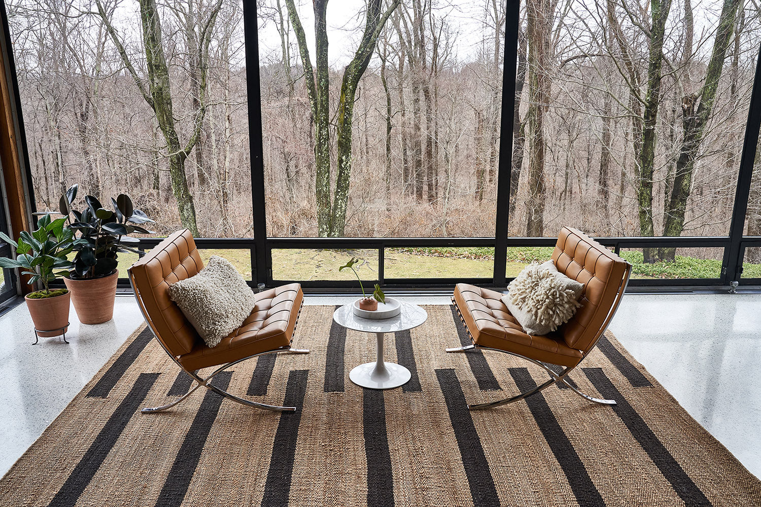 Terra cotta frog vase styled on outdoor deck with botanicals