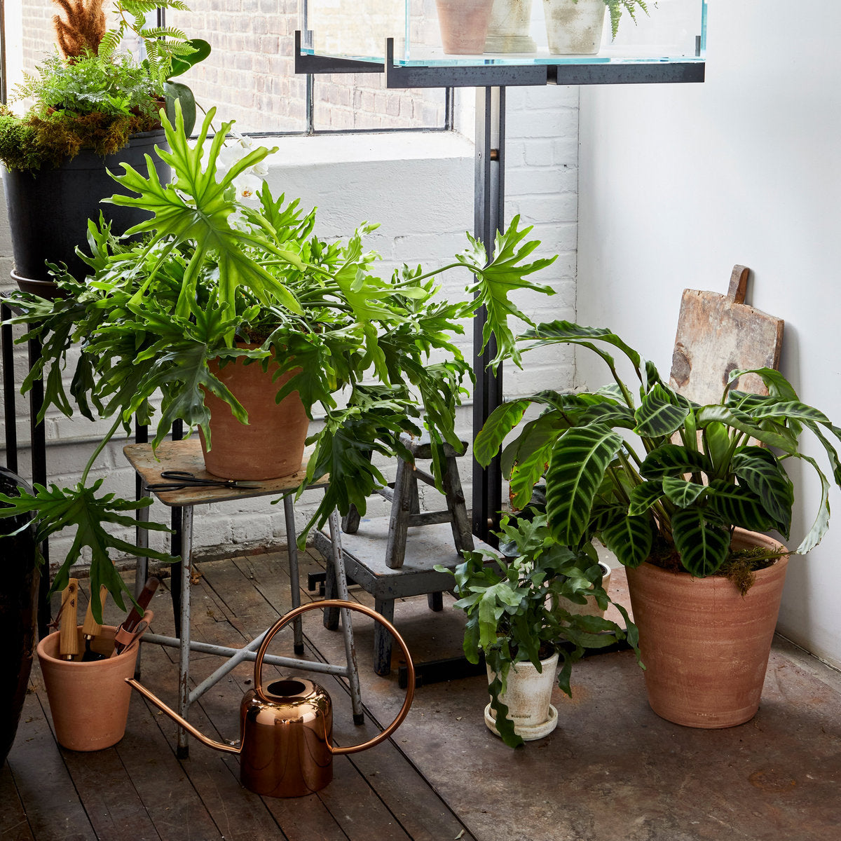 Copper Watering Can - Bloomist