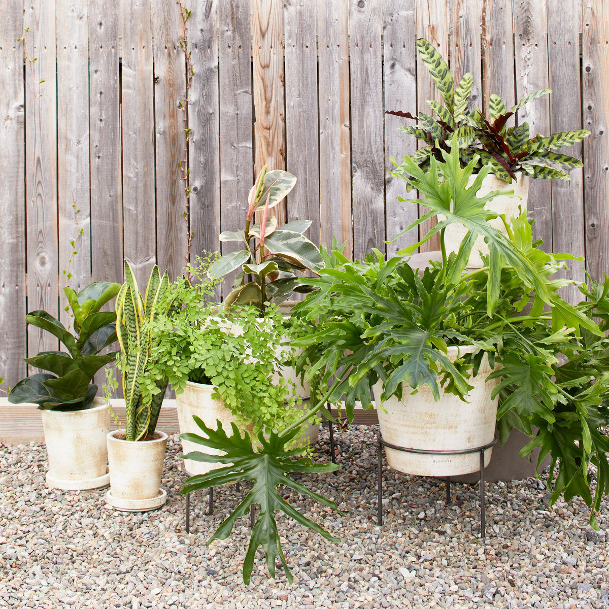 Basic Planter, White Patina - Bloomist