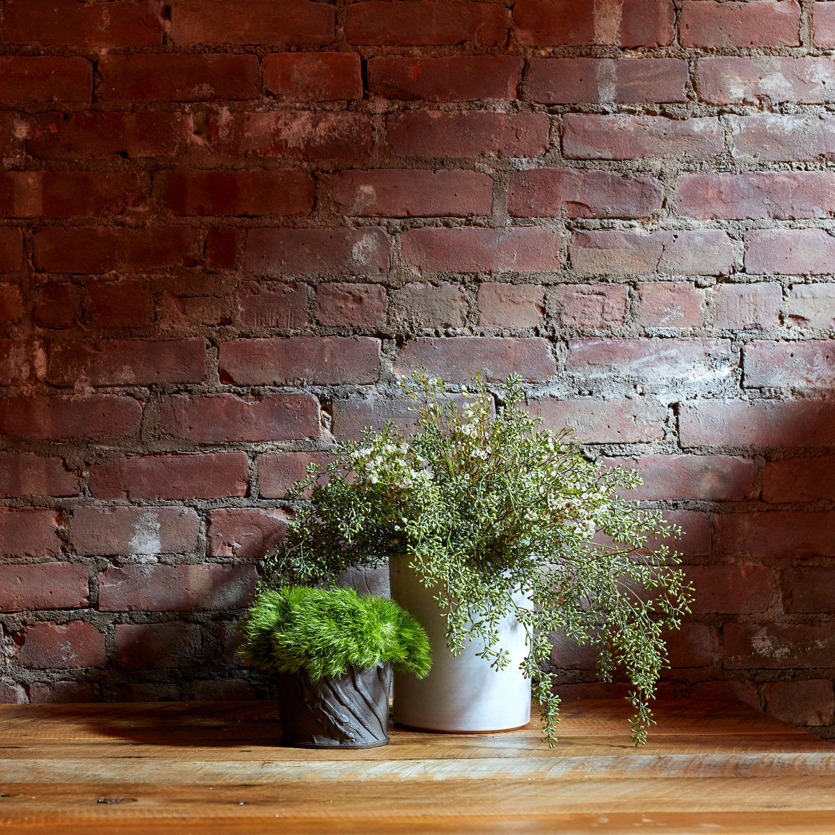 Bark Planter - Bloomist