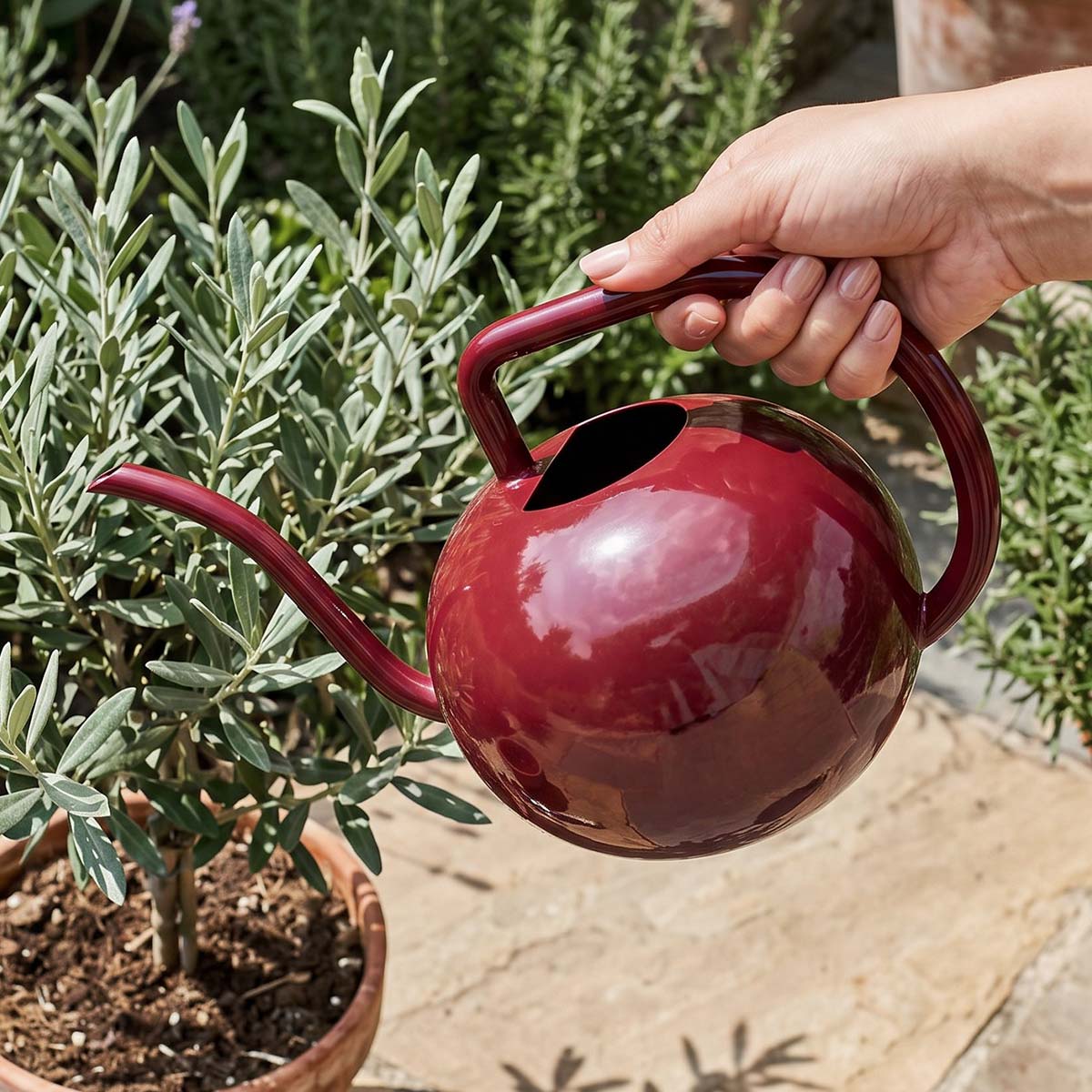 Watering Can, 94 oz