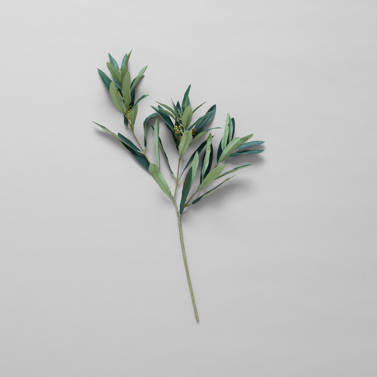 EcoFaux Arbequina Olive Spray - Bloomist