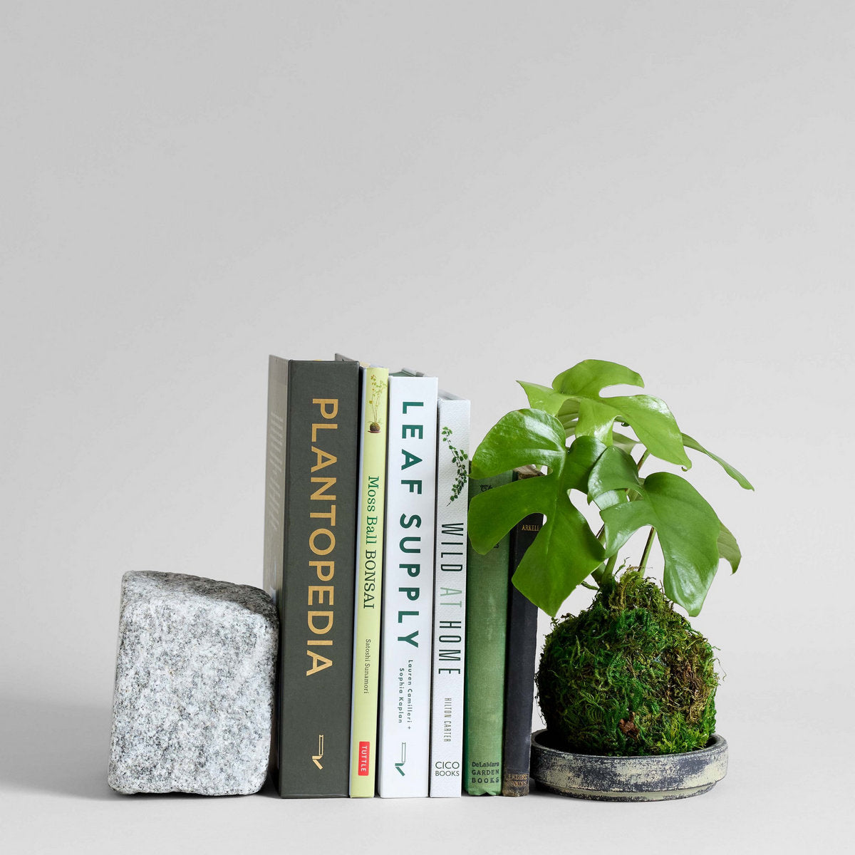 Granite Stand - Bloomist