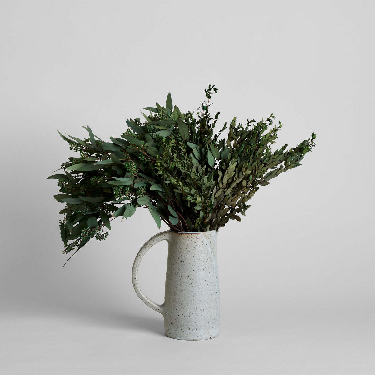 Preserved Parvafolia - Bloomist