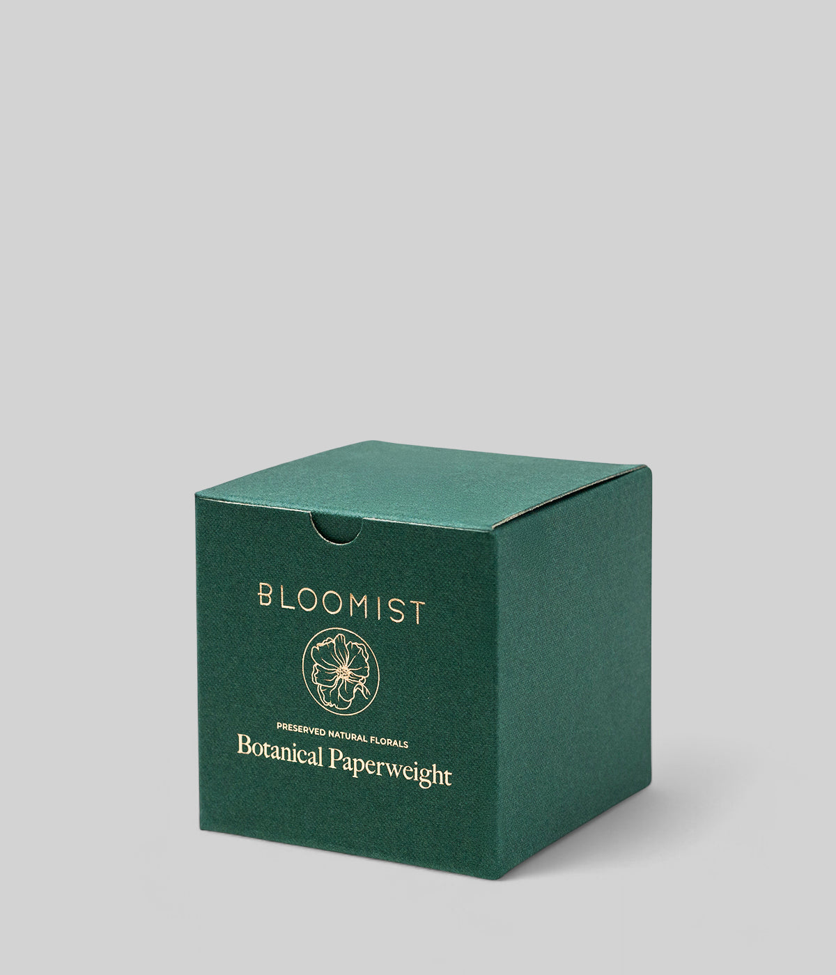 Green Bloomist product box for the botanical salsify paperweight shown against a neutral grey background