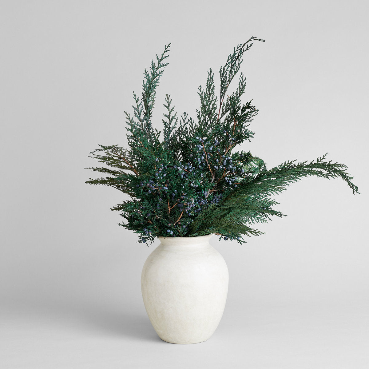 Preserved Cedar - Bloomist