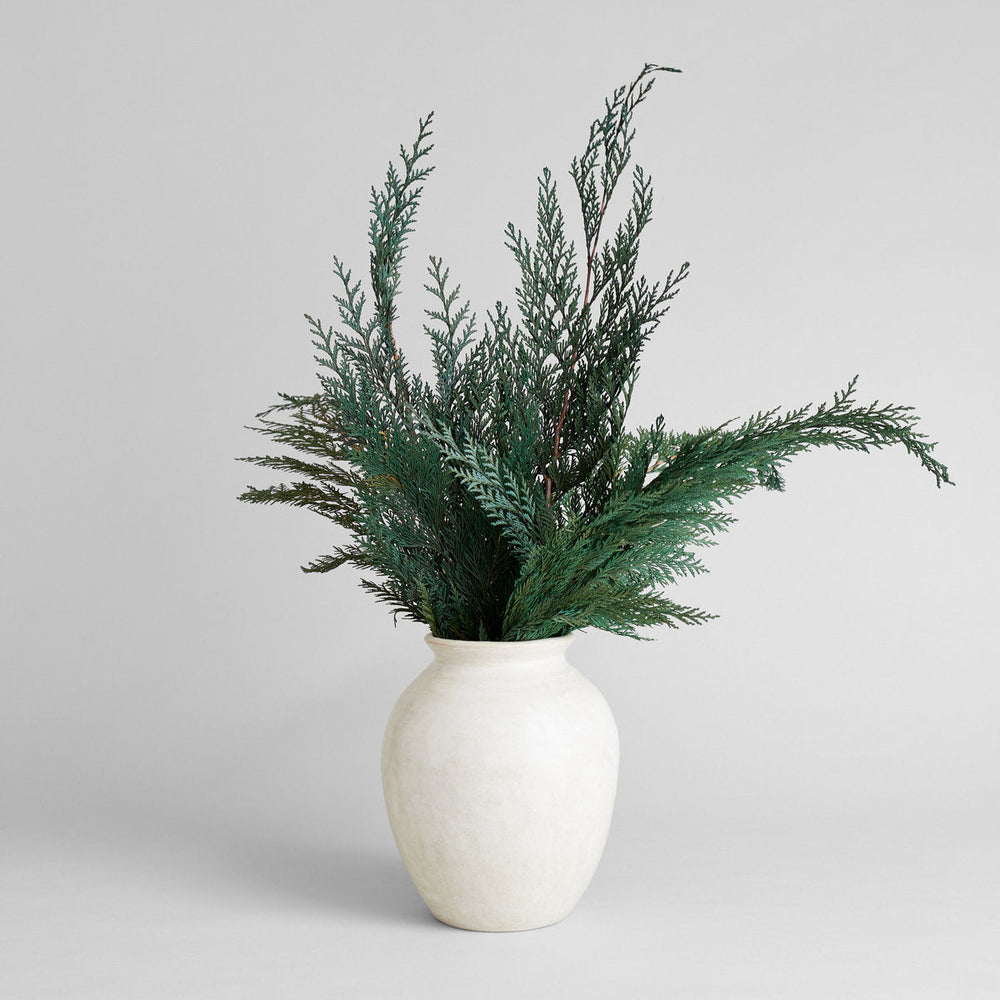 Preserved Cedar - Bloomist