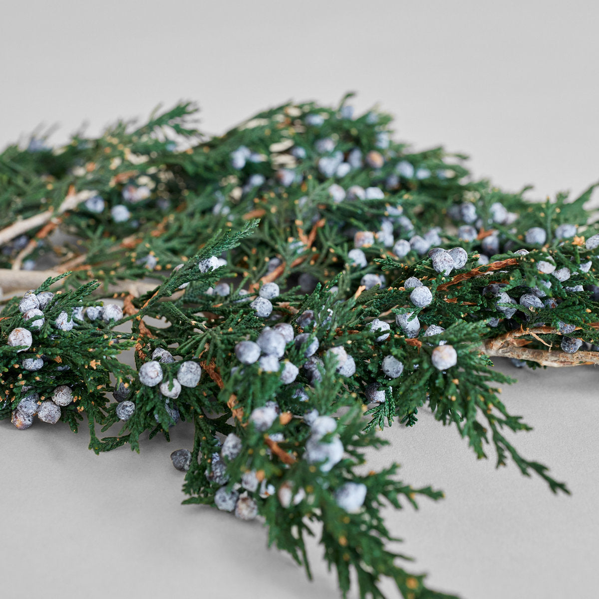 Preserved Juniper With Berries - Bloomist