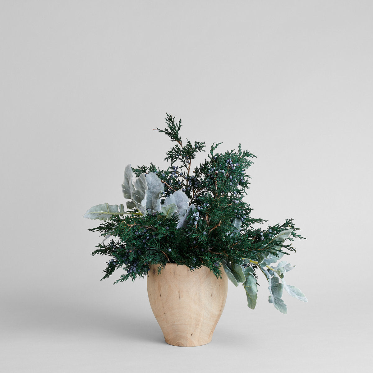 Preserved Juniper With Berries - Bloomist