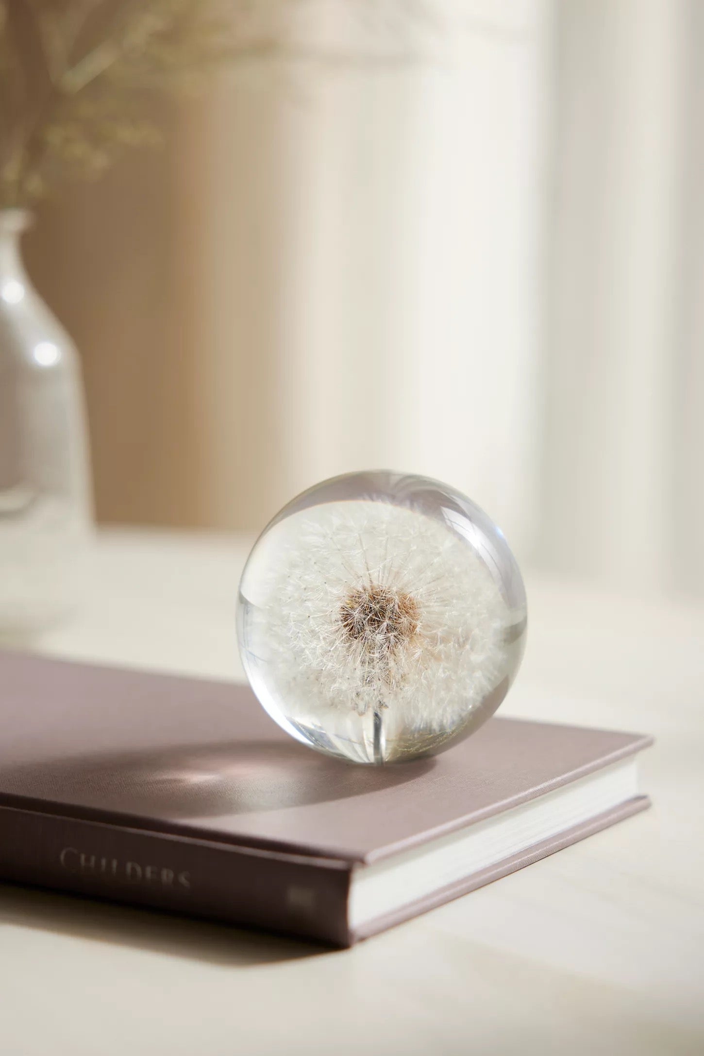 Botanical glass paperweight with a preserved dandelion resting on a closed book in a softly lit room