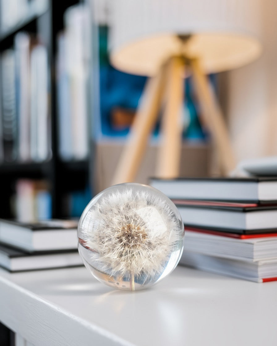 Botanical glass paperweight containing a preserved dandelion displayed on top of stacked books with a lamp in the background