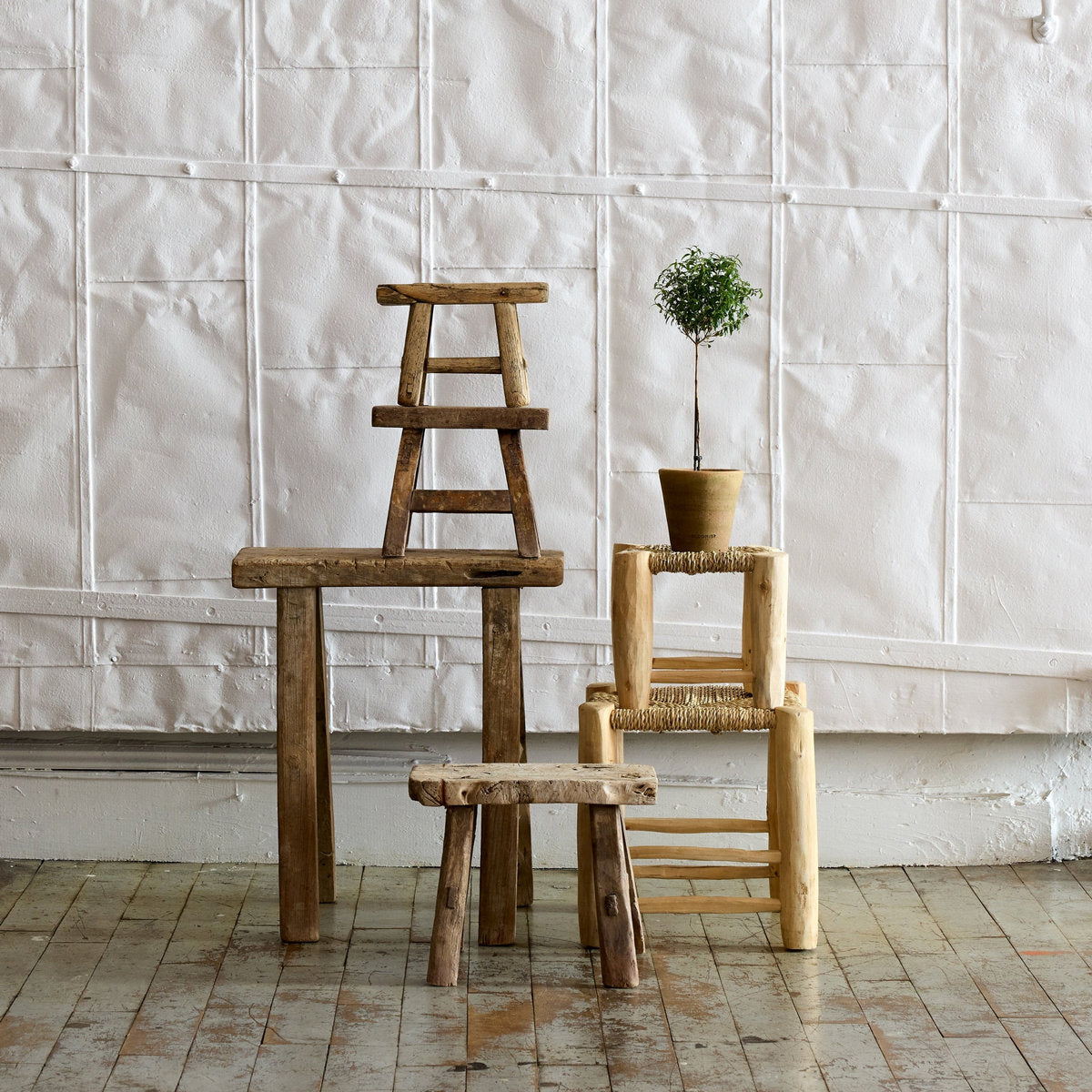 Studio Planter, Greenwash - Bloomist