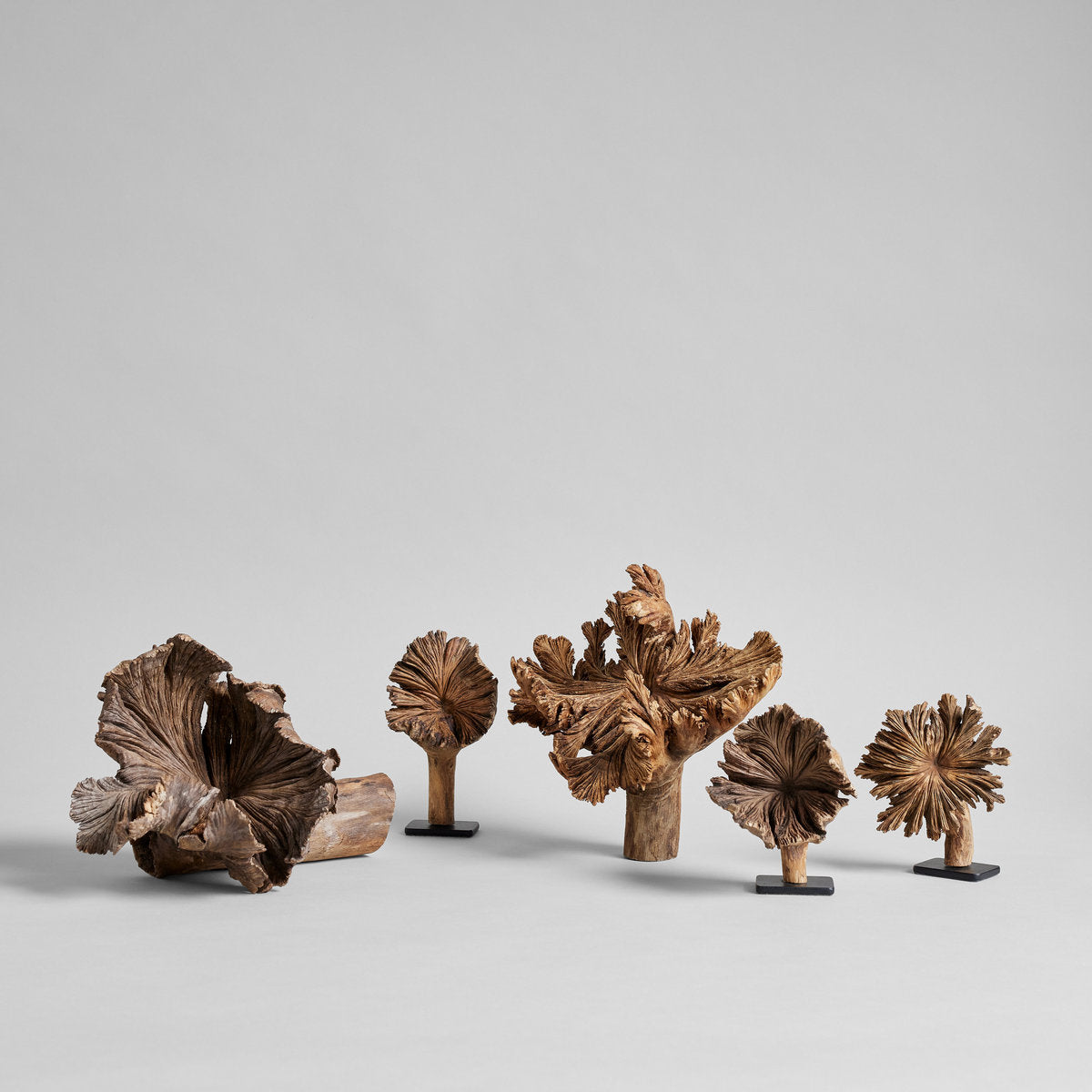 Wood Flower - Bloomist