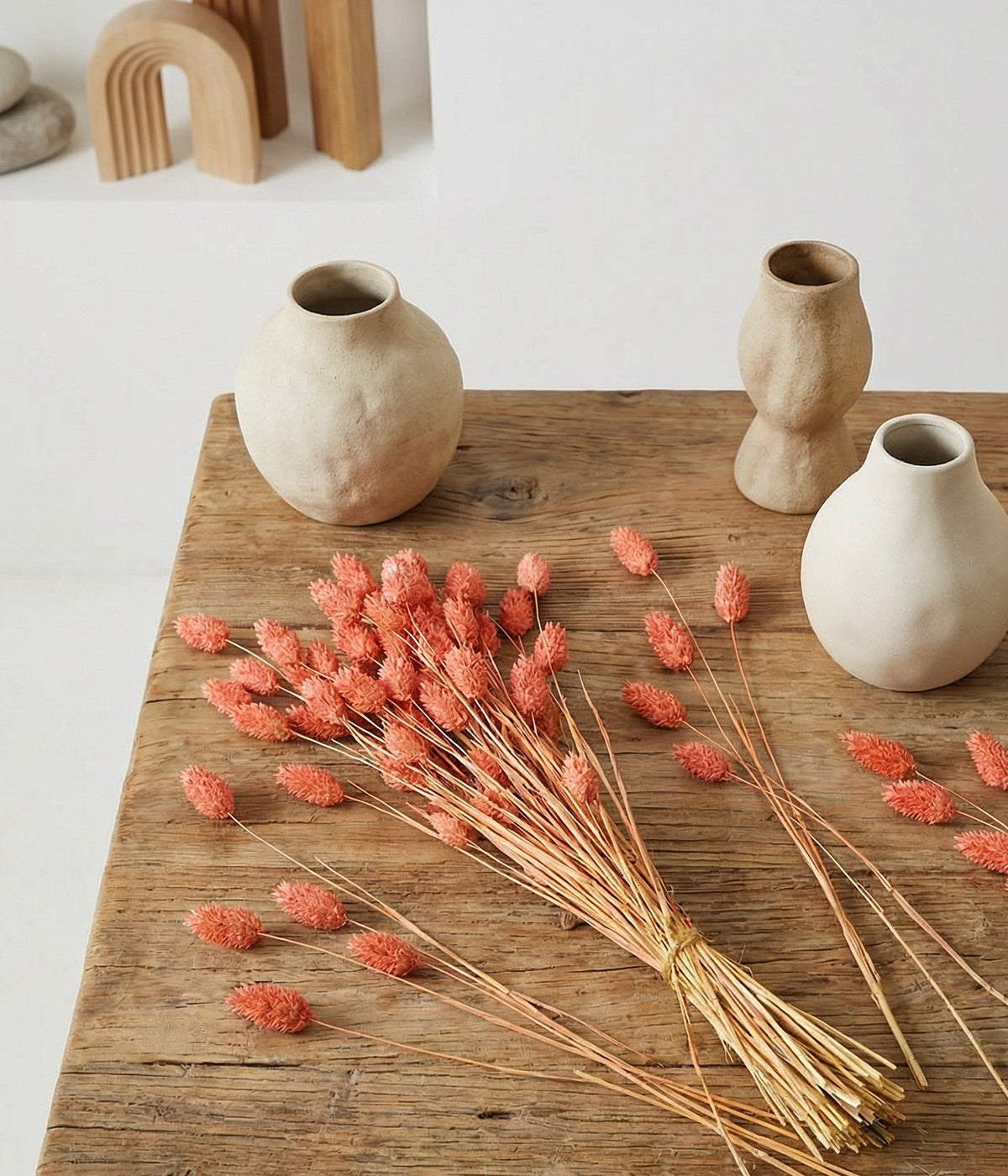 pink phalaris dried botanicals