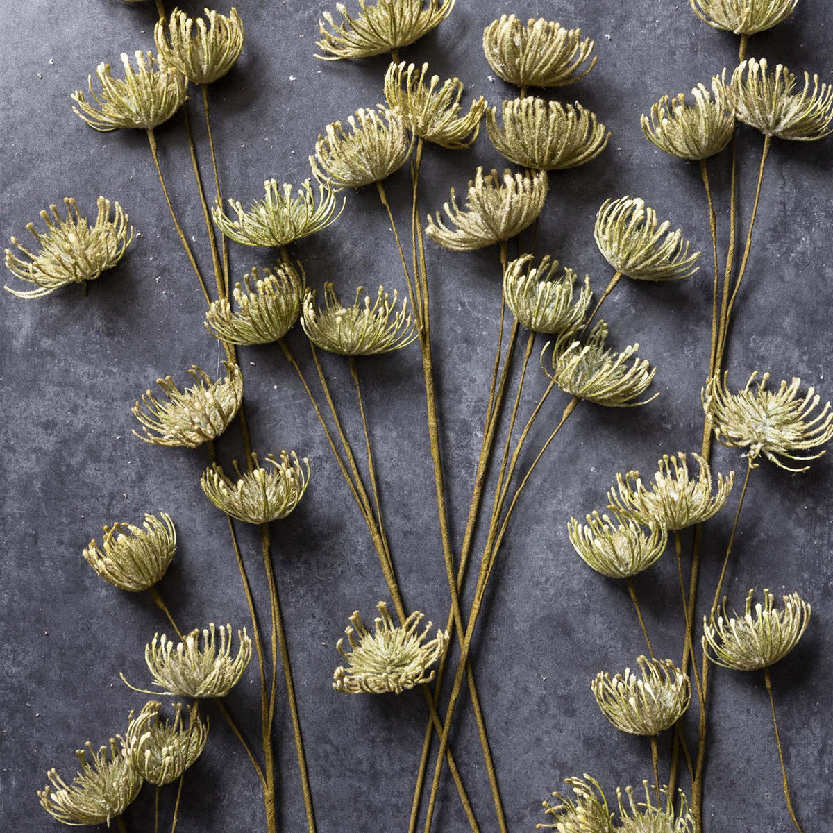 Faux leucospermum green with spiky blooms for rustic or modern decor