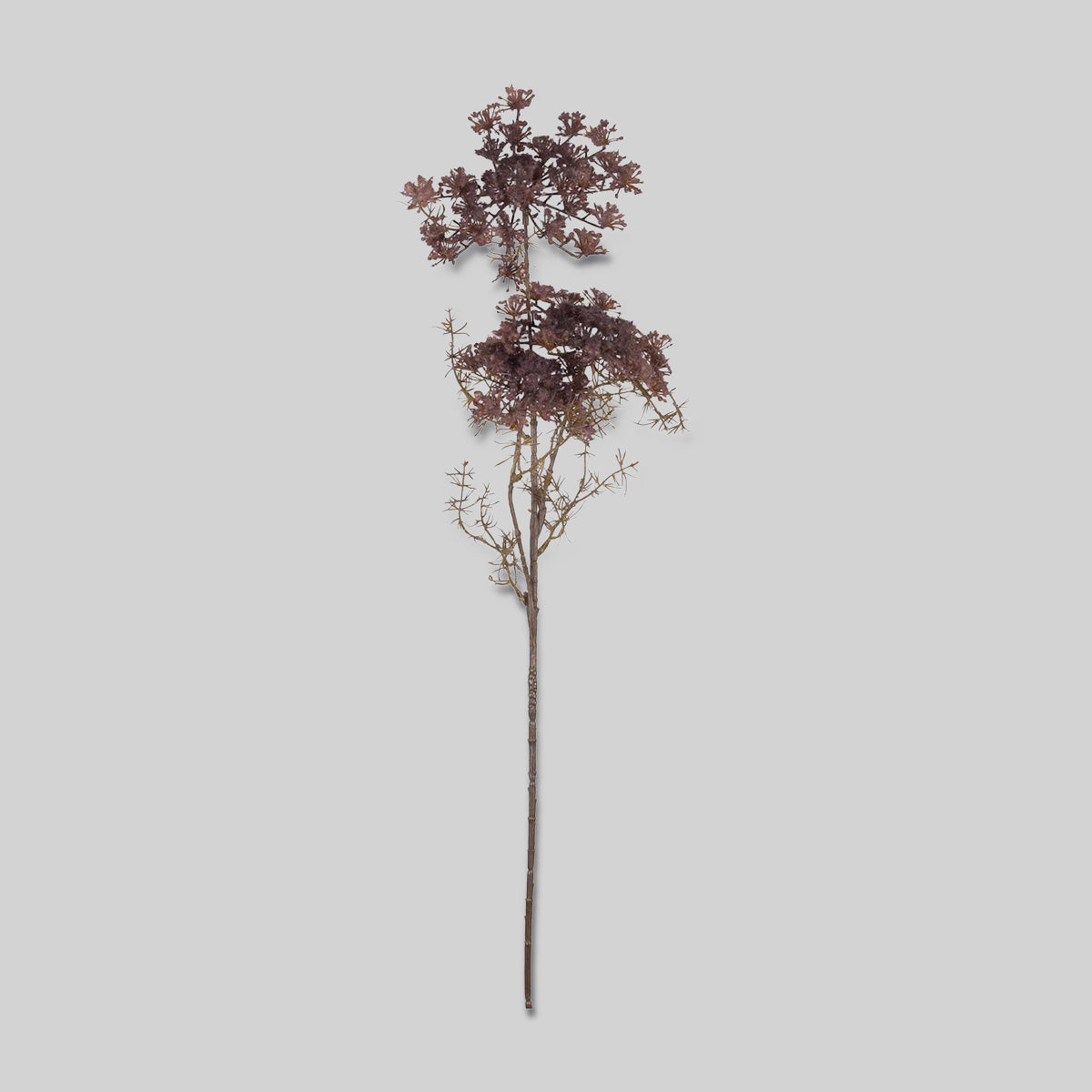 Faux queen anne's lace in purple with lace-like clustered blooms for interior styling