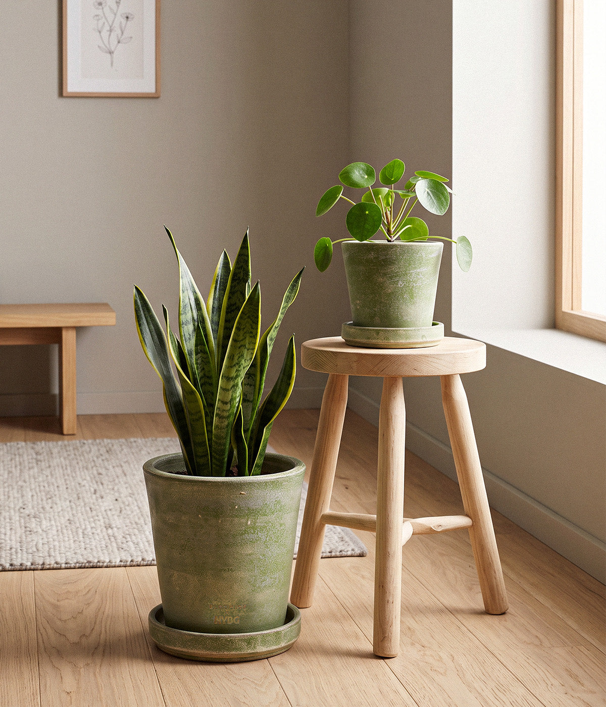 Two Garden Sage planters with matching trays holding a snake plant and round-leaved houseplant in a sunlit room