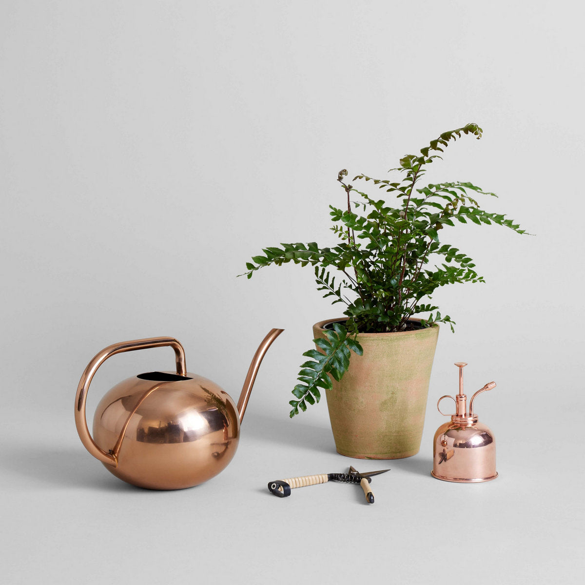 Beatrix Watering Can - Bloomist