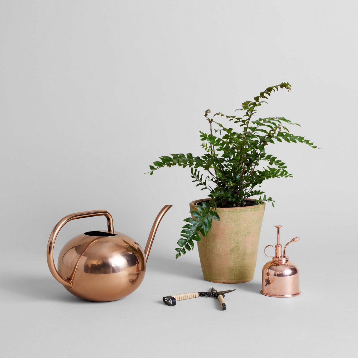 Studio Planter, Greenwash - Bloomist