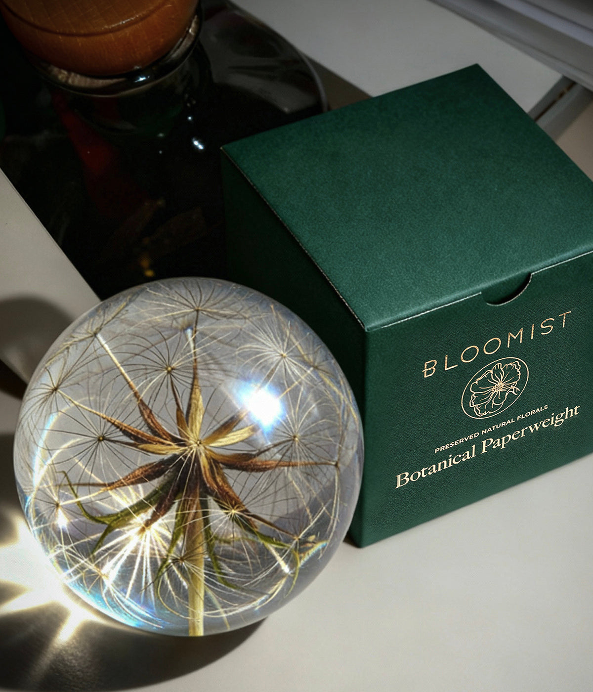 Botanical glass paperweight with a salsify seed head placed on a reflective surface beside a green Bloomist gift box
