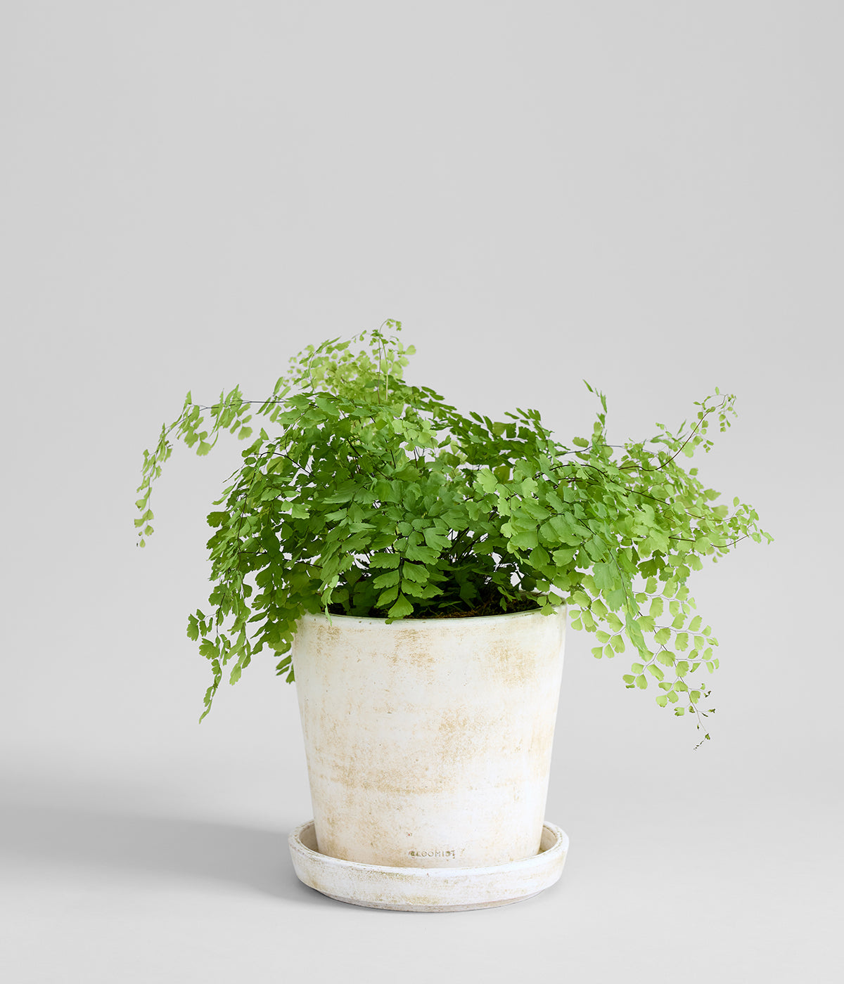 Hand-thrown white patina planters in extra large sizes made in Honduras for garden or patio